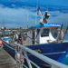 pesca en valencia